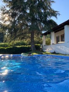 a person swimming in a blue swimming pool at My Secret Garden - Swimming Pool Villa in Kriopigi