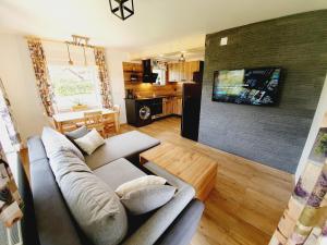 TV a/nebo společenská místnost v ubytování Honey apartments