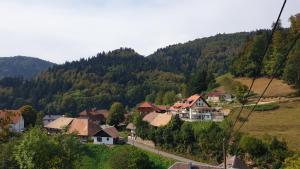 Ferienwohnung auf dem Bückle في Kleines Wiesental: مجموعة منازل على تلة مع جبل
