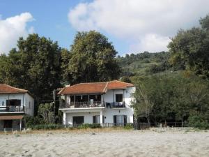 Beach House في زاغورا: بيت ابيض على الشاطئ بجانب الاشجار