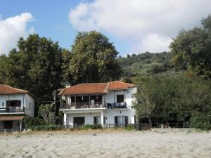 a white house on the beach next to trees at Beach House in Zagora