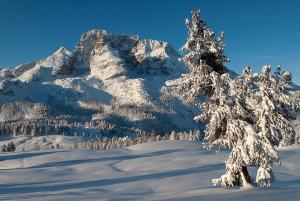 Alpin Natur Hotel Brückele v zimě