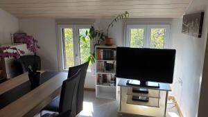 a living room with a table with a television on it at Ferienwohnung auf dem Bückle in Kleines Wiesental