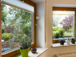 une fenêtre avec trois plantes en pot sur un rebord de fenêtre dans l'établissement Ferienwohnung Schlossblick, à Eisfeld