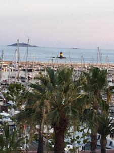 uitzicht op een haven met palmbomen en boten bij Face à la mer in Bandol