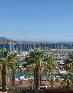 een jachthaven met palmbomen en boten in het water bij Face à la mer in Bandol