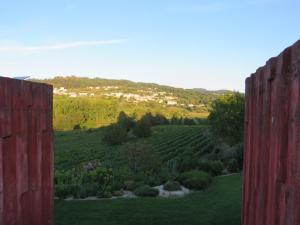 a view of a vineyard through a red fence at Paco de Pombeiro - Turismo de Habitacao in Felgueiras