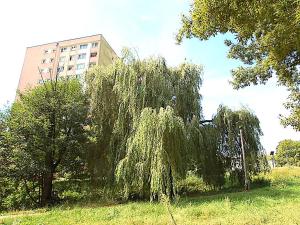 Ogród w obiekcie Apartament nad Strugą