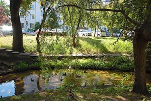 Ogród w obiekcie Apartament nad Strugą