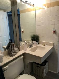 a bathroom with a sink and a toilet and a mirror at Daytona Beach Inn Resort in Daytona Beach