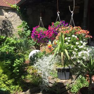 a garden with colorful flowers and a fountain at Haus Gisela in Endingen