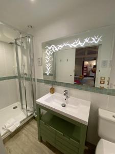 a bathroom with a sink and a shower and a mirror at Le Cabanon de Chessy in Chessy +21 photos