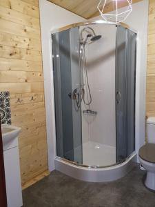 a glass shower in a bathroom with a toilet at Leśnisko in Niegowa