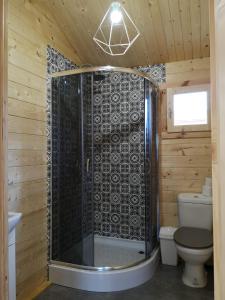 a bathroom with a shower with a toilet and a sink at Leśnisko in Niegowa
