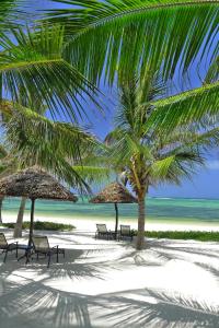 een strand met stoelen en parasols en een palmboom bij Breezes Beach Club and Spa in Bwejuu