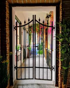 una puerta abierta a un patio con plantas en appartment & rooms SecondoPiano en Cividale del Friuli