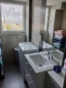 een badkamer met een wastafel en een spiegel bij Gîte LES PAPILLONS in Bining-lès-Rohrbach