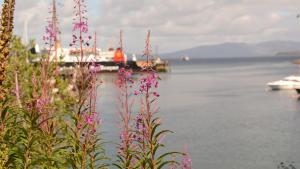 Gallery image of Springbank in Mallaig