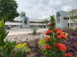 a view of a building with flowers in the foreground at Hotel Nuve Gomez Palacio in G&oacute;mez Palacio