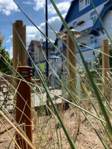 a house sitting on top of a sandy beach at Strandhaus WOTAN in Kühlungsborn +67 photos