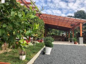 einen Garten mit einer Holzpergola und Topfpflanzen in der Unterkunft Varga Vendégház in Sümegprága