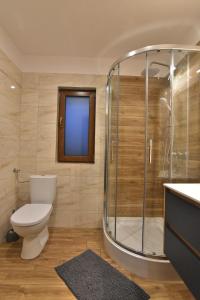 a bathroom with a toilet and a glass shower at Chatki u Oli in Baligród +22 photos