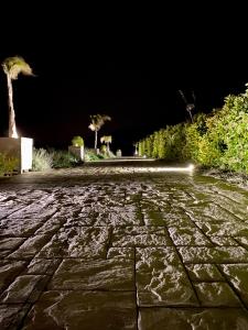 a stone walkway at night with a palm tree at Casamediterranea in Sperlonga
