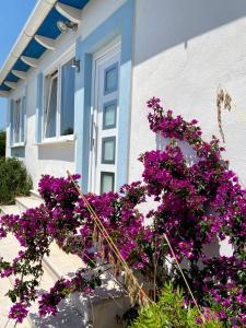 una casa con flores púrpuras delante de ella en Casamediterranea, en Sperlonga