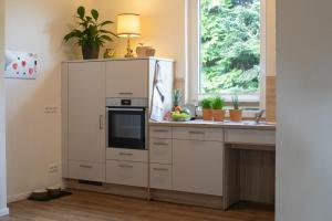 uma cozinha com um armário com um micro-ondas e um lavatório em HausAltenkamp em Bad Zwischenahn