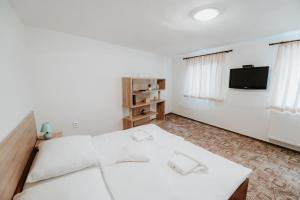 TV a/nebo společenská místnost v ubytování ARD Apartments - Levice