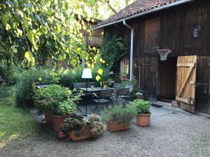 Fotografie z fotogalerie ubytování FeWo Spitzweg, Garlstorf - Lüneburger Heide v destinaci Garlstorf + 53 fotografií