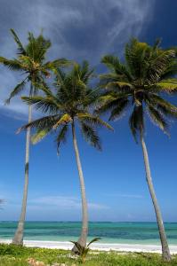 two palm trees on a beach with the ocean at The Palms Zanzibar in Bwejuu