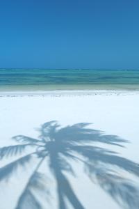 a shadow of a palm tree on the beach at The Palms Zanzibar in Bwejuu