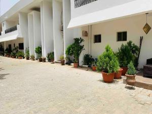 a row of potted plants inront of a building at SS Suites in Abuja