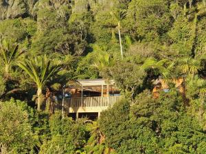 a house on the side of a mountain with trees at Treescapes in Punakaiki