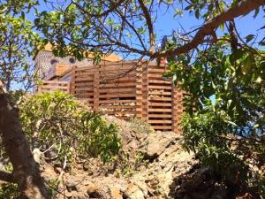 Φωτογραφία από το άλμπουμ του Loco´s Home σε Chañaral de Aceituna