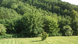 Paesaggio naturale nelle vicinanze della casa vacanze