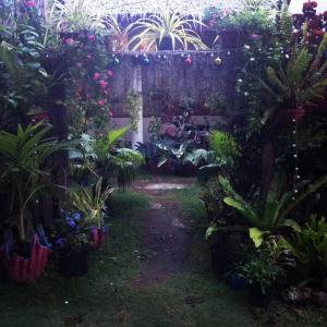 un giardino con un mucchio di piante e fiori di SHUKRAN Apartelle a Siquijor