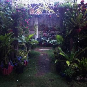 um jardim com um ramo de plantas e flores em SHUKRAN Apartelle em Siquijor