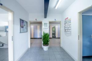 a hallway with a potted plant in a building at Waterlodge in Wilhelminadorp