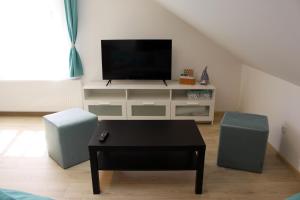 Televízia a/alebo spoločenská miestnosť v ubytovaní Apartmány v podhradí