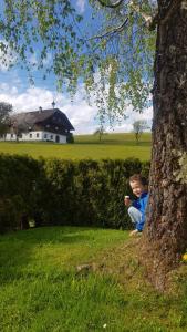 Un niño pequeño sentado junto a un árbol en Ferienwohnung Ronacher, en Abtenau
