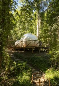 a domed tent on a trailer in the woods at Ursa Major Bubble in Camporgiano