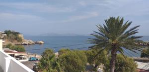 a palm tree sitting next to a body of water at Apostolakis Rooms in Agios Kirykos