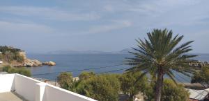 een balkon met uitzicht op de oceaan en een palmboom bij Apostolakis Rooms in Agios Kirykos