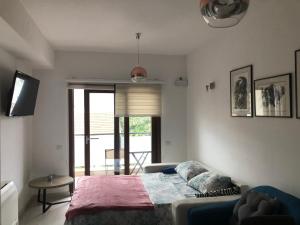 a bedroom with a bed and a couch and a television at Apartments Bane in Herceg-Novi