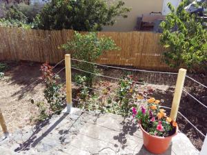 A garden outside Vivienda vacacional La Graja