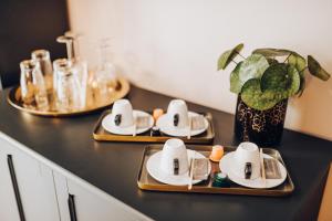 Příslušenství pro přípravu čaje a kávy v ubytování Wine & Wellness hotel Besední dům