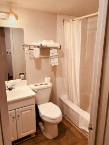 卡爾加里的住宿－紅地毯汽車旅館，浴室配有卫生间、盥洗盆和淋浴。