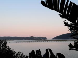 a view of a large body of water with a bridge at Phoenix Lodge and Waterside Accommodation in Knysna